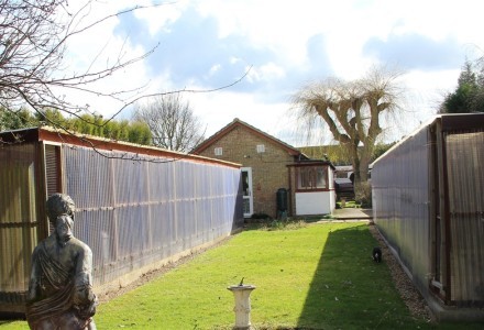 highly-regarded-cattery-with-owners-residence-in-p-590508